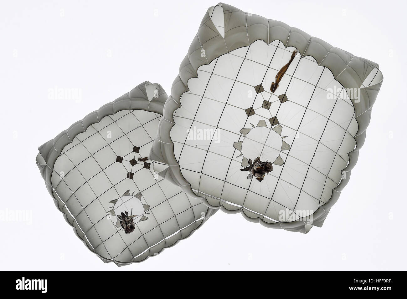 Paratroopers with open chutes against white background Stock Photo Alamy