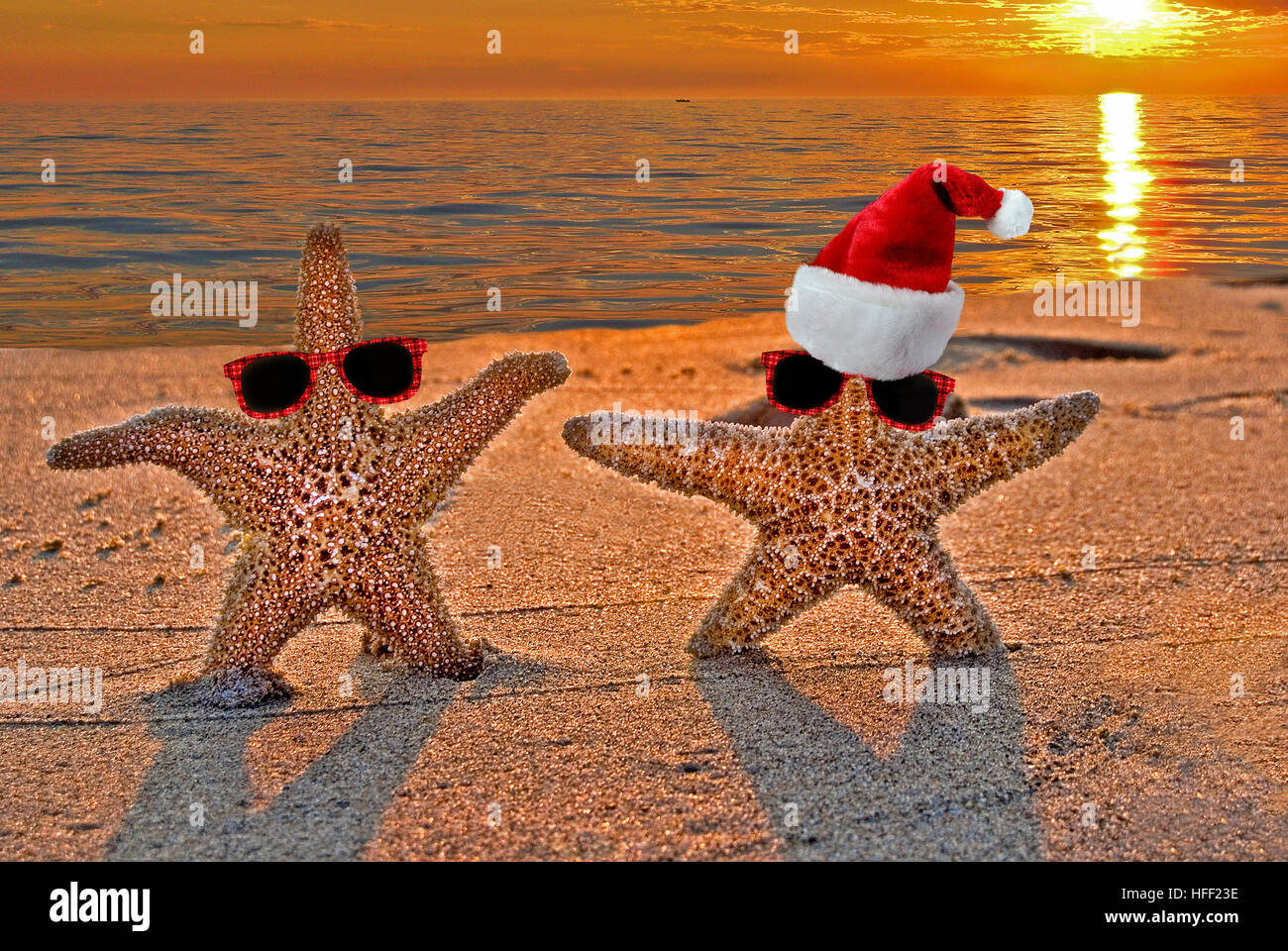 Silly christmas hires stock photography and images Alamy