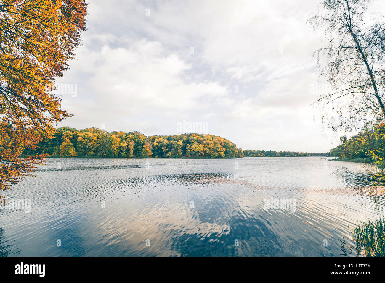 Lake scenery in the fall with trees in colorful autumn colors and a ...