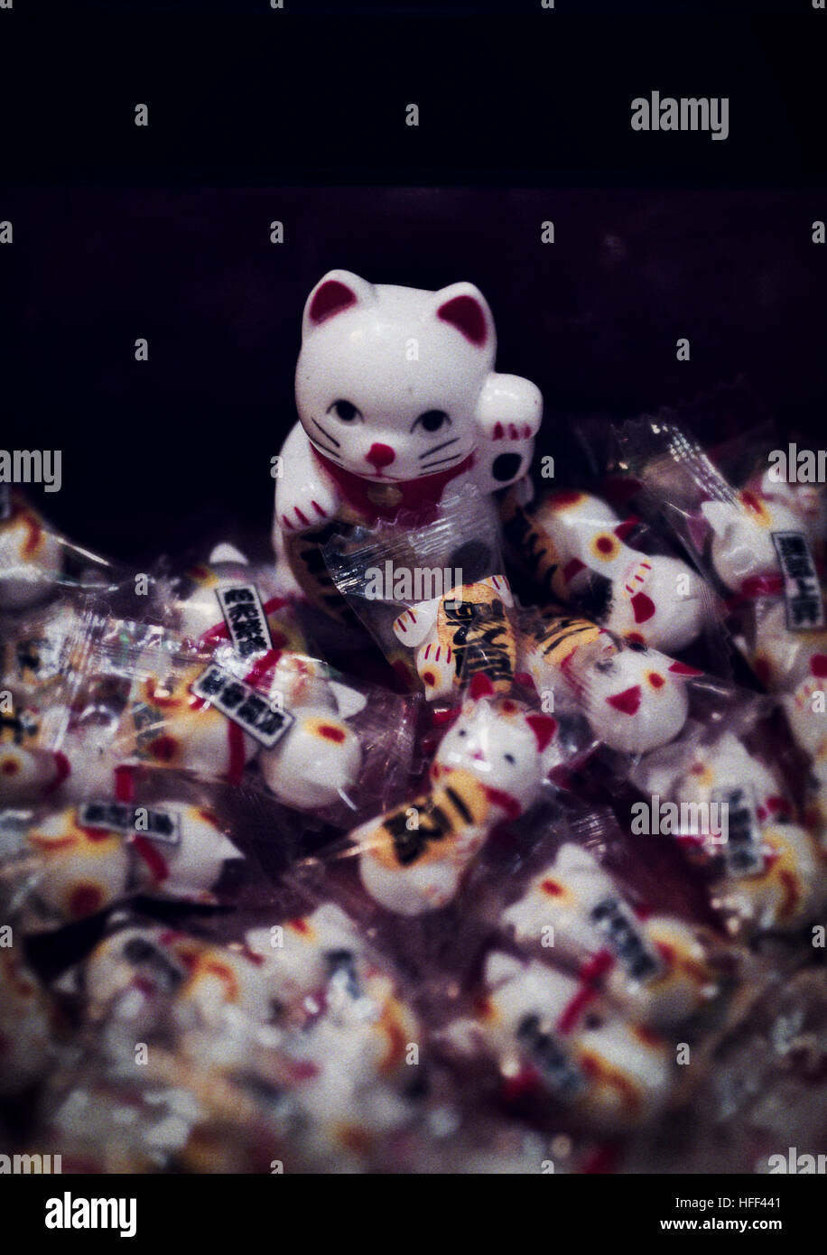 4,800+ Lucky Cat Stock Photos, Pictures & Royalty-Free Images - iStock