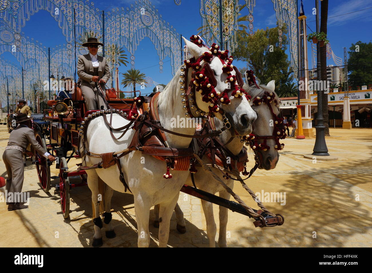 The best horse in the world hires stock photography and images Alamy