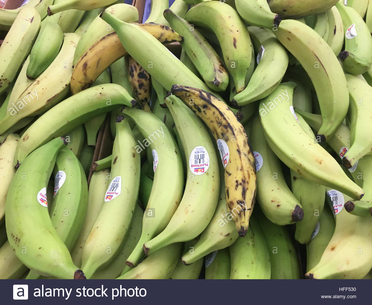 Plantain Bananas Stock Photos & Plantain Bananas Stock Images Alamy