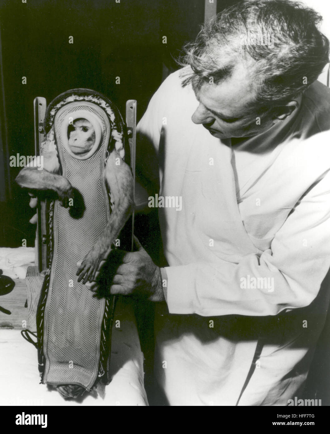 Sam, the Rhesus monkey, after his ride in the Little Joe-2 (LJ-2) spacecraft. A U.S. Navy destroyer safely recovered Sam after he experienced three minutes of weightlessness during the flight. Animals were often used during test flights for Project Mercury to help determine the effects of spaceflight and weightlessness on humans. LJ-2 was one in a series of flights that led up to the human orbital flights of NASA's Project Mercury program. The Little Joe rocket booster was developed as a cheaper, smaller, and more functional alternative to the Redstone rockets. Little Joe could be produced at  Stock Photo