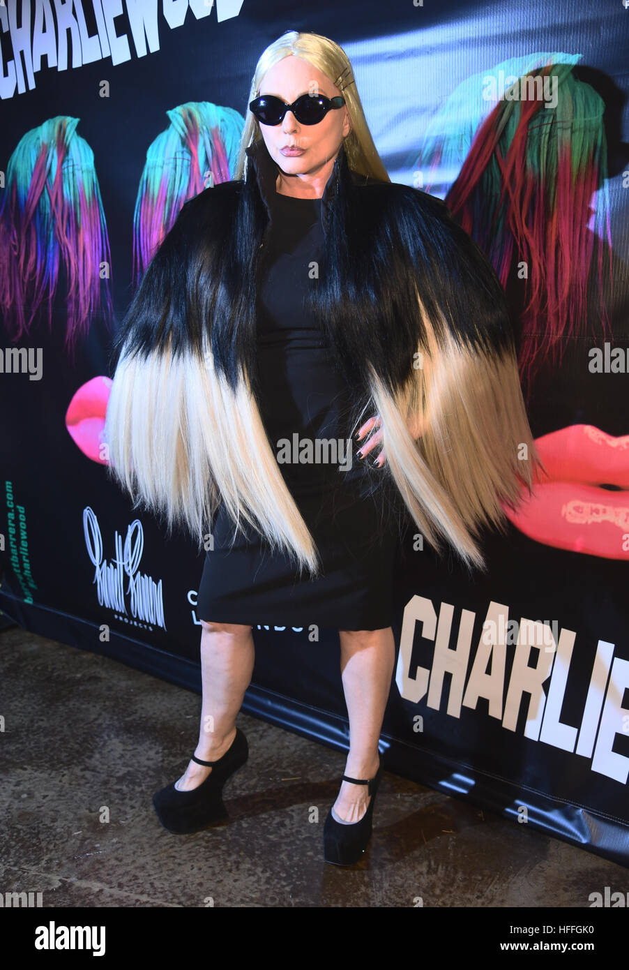 Debbie Harry attends 'Charliewood - An Exhibition Of Transgressive Movement' at Cedar Lake  Featuring: Debbie Harry Where: New York, United States When: 28 Nov 2016 Stock Photo