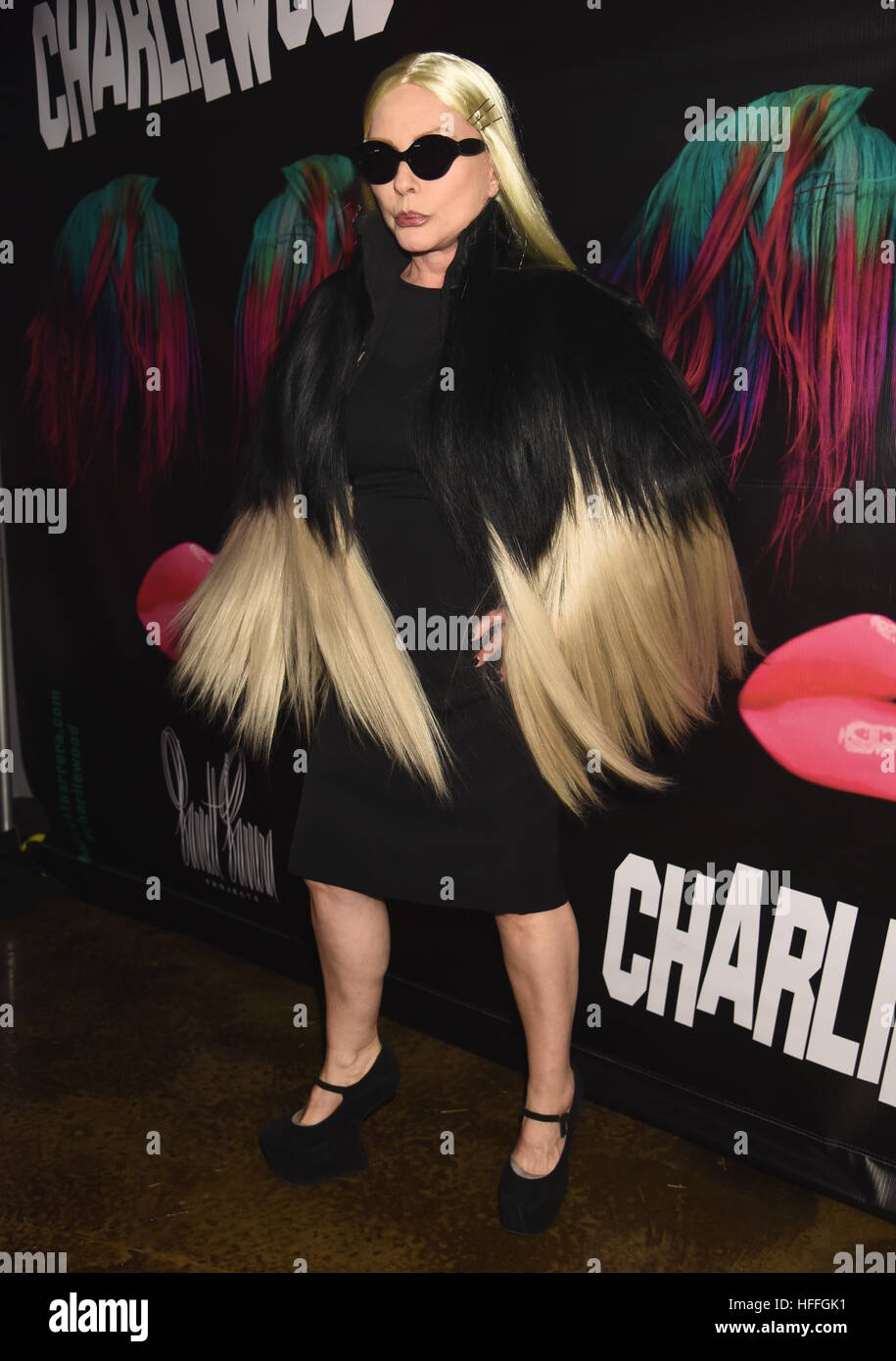Debbie Harry attends 'Charliewood - An Exhibition Of Transgressive Movement' at Cedar Lake  Featuring: Debbie Harry Where: New York, United States When: 28 Nov 2016 Stock Photo