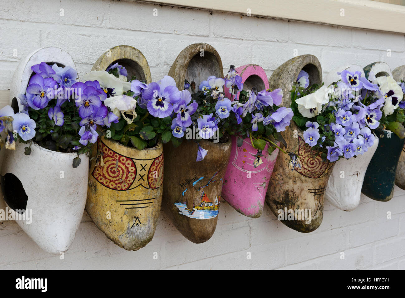 Old clogs decorated with fresh flowers on display on the exterior wall of a shop in Holland, Netherlands. Stock Photo