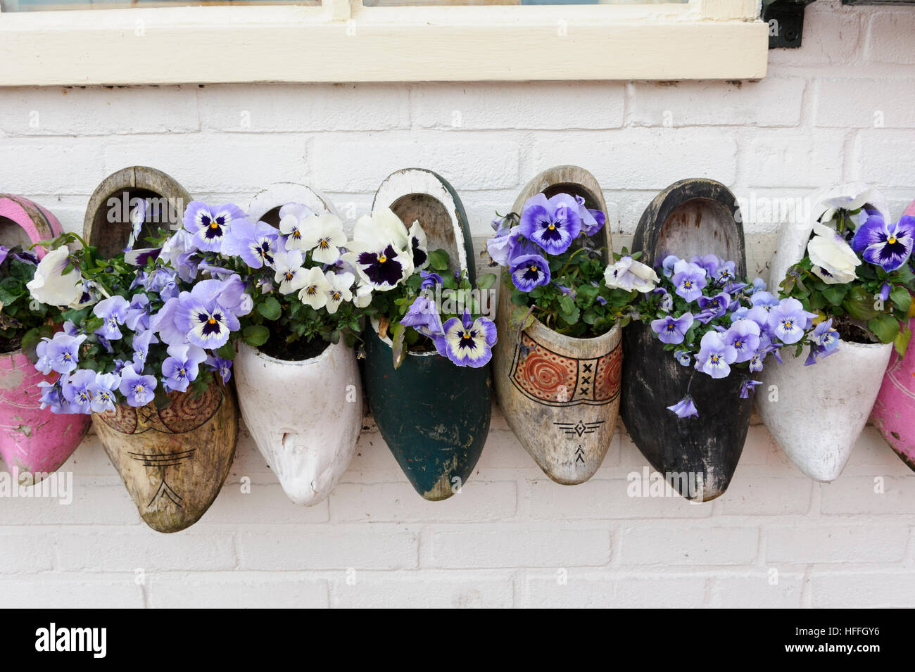 Old clogs decorated with fresh flowers on display on the exterior wall of a shop in Holland, Netherlands. Stock Photo