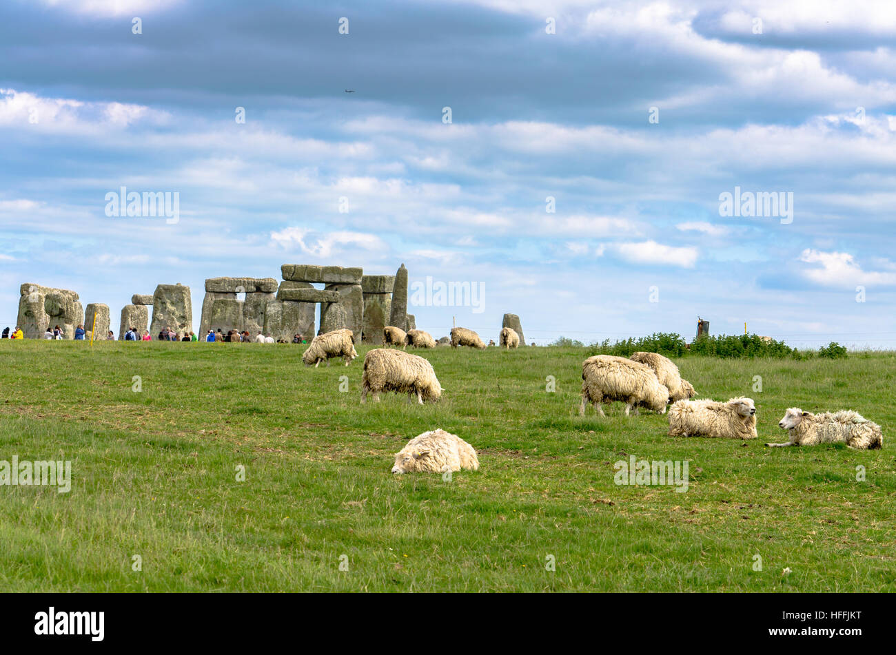 Sheep grazing as visitors tour Stonehenge in the background Stock Photo
