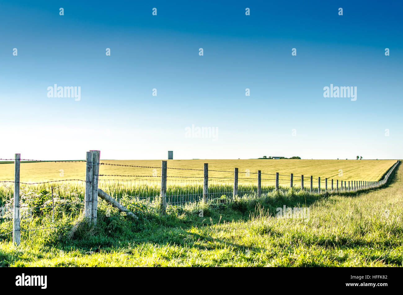 Fence through a green countryside under a clear blue sky Stock Photo