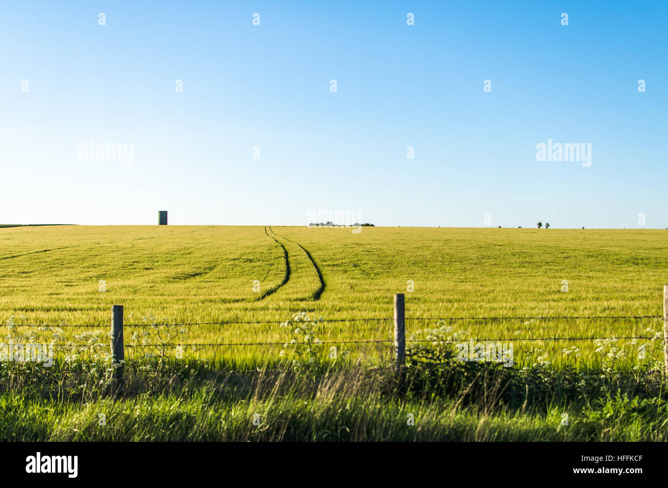 Gate and a fence in a beautiful countryside farm in Salisbury, England Stock Photo