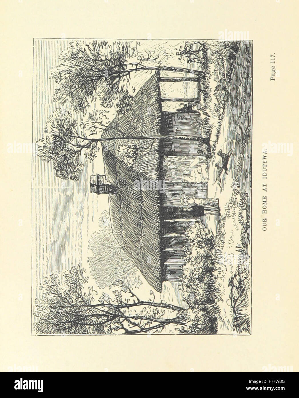 Friends And Foes In The Transkei An Englishwomans - 