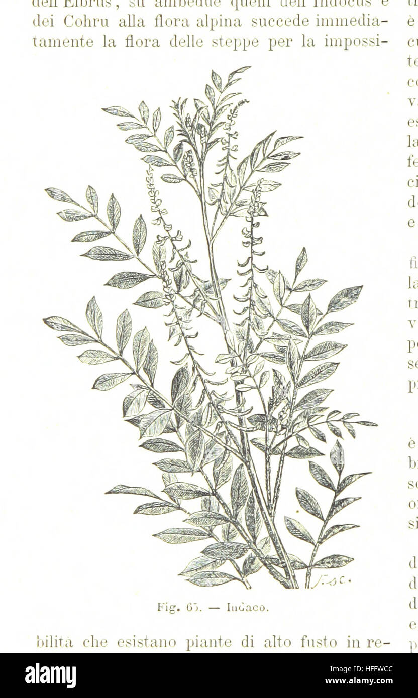 Image taken from page 140 of 'La Terra, trattato popolare di geografia universale per G. Marinelli ed altri scienziati italiani, etc. [With illustrations and maps.]' Image taken from page 140 of 'La Terra, trattato popolare Stock Photo