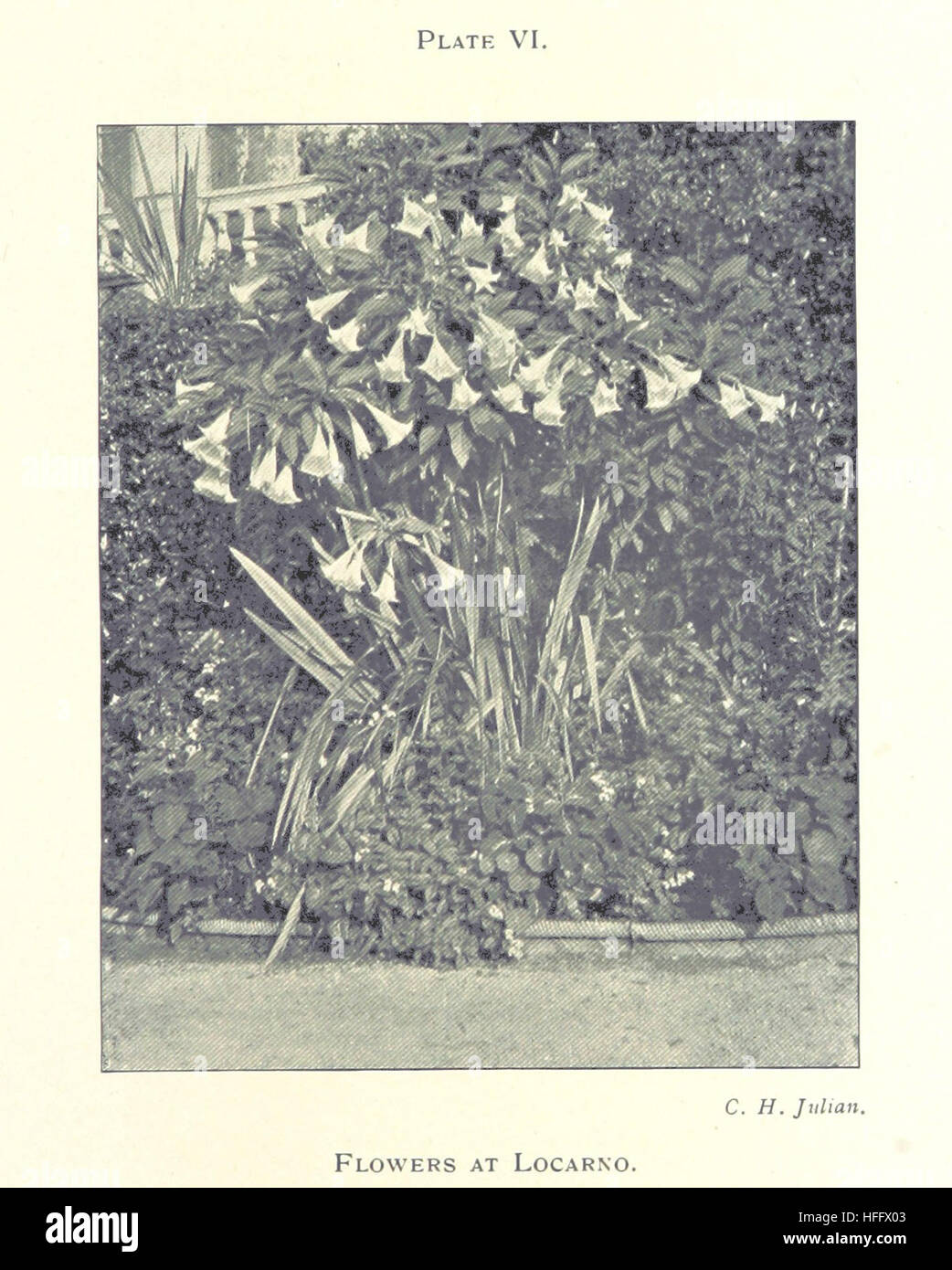 The Diary of a Tour to the Uppe Engadine and Northern Italy, made in the summer of 1898 Image taken from page 141 of 'The Diary of a Stock Photo