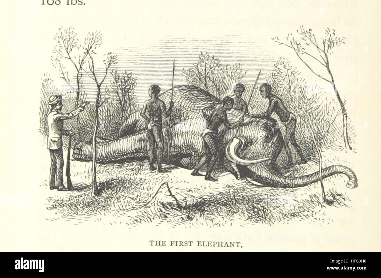 Matabele Land and the Victoria Falls. A naturalist's wanderings in the interior of South Africa. From the letters and journals of the late Frank Oates, F.R.G.S. Edited by C. G. Oates. (Memoir.) Image taken from page 148 of 'Matabele Land and the Stock Photo