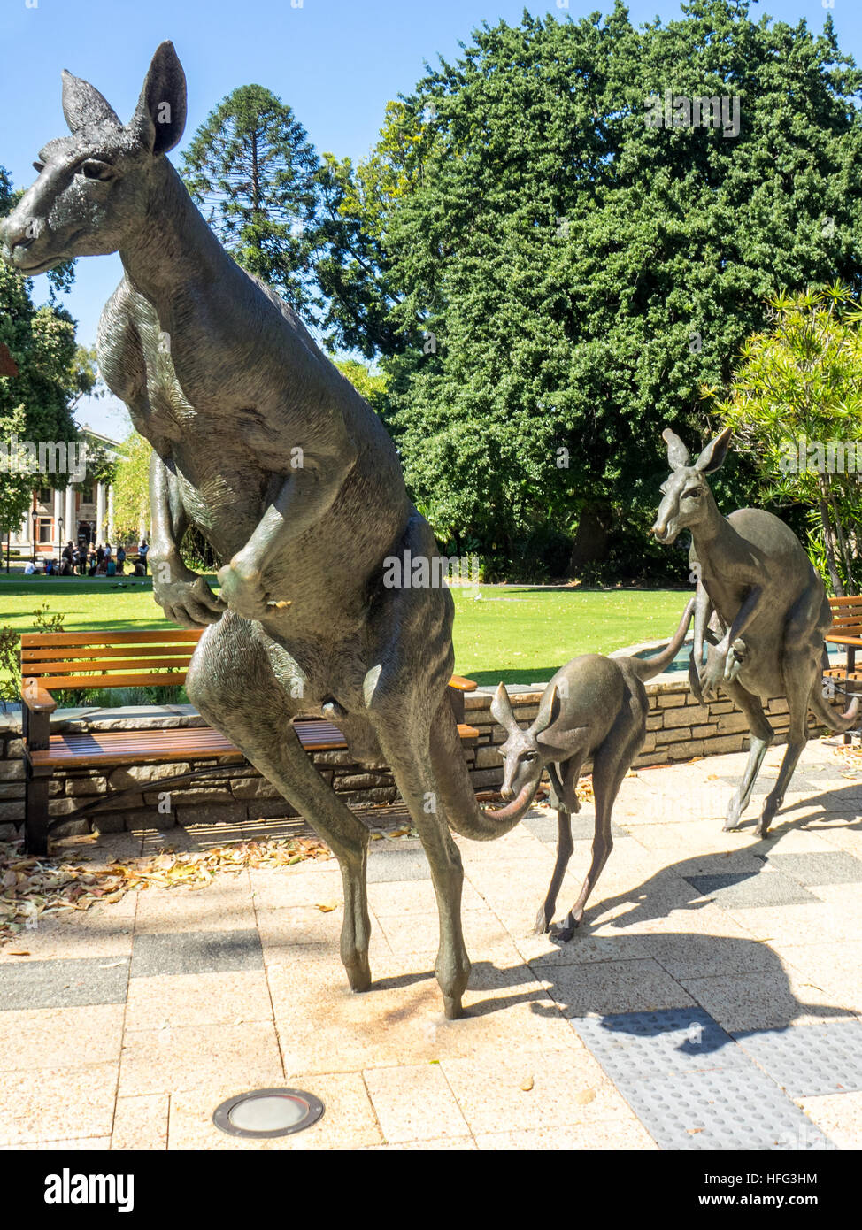 Kangaroo Statue Stock Photos & Kangaroo Statue Stock Images Alamy