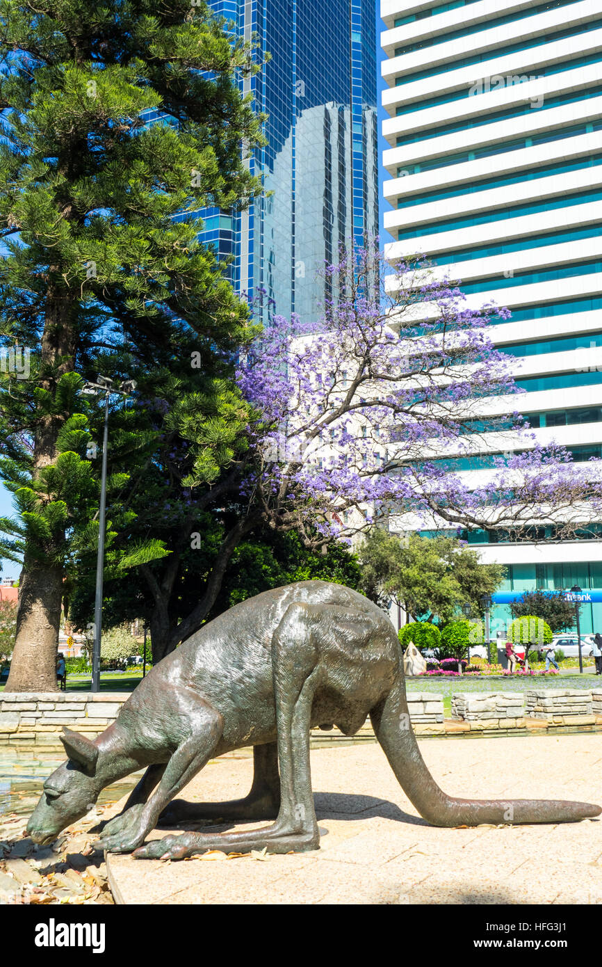 A bronze sculpture of a kangaroo in the CBD of Perth, Western Australia Stock Photo Alamy