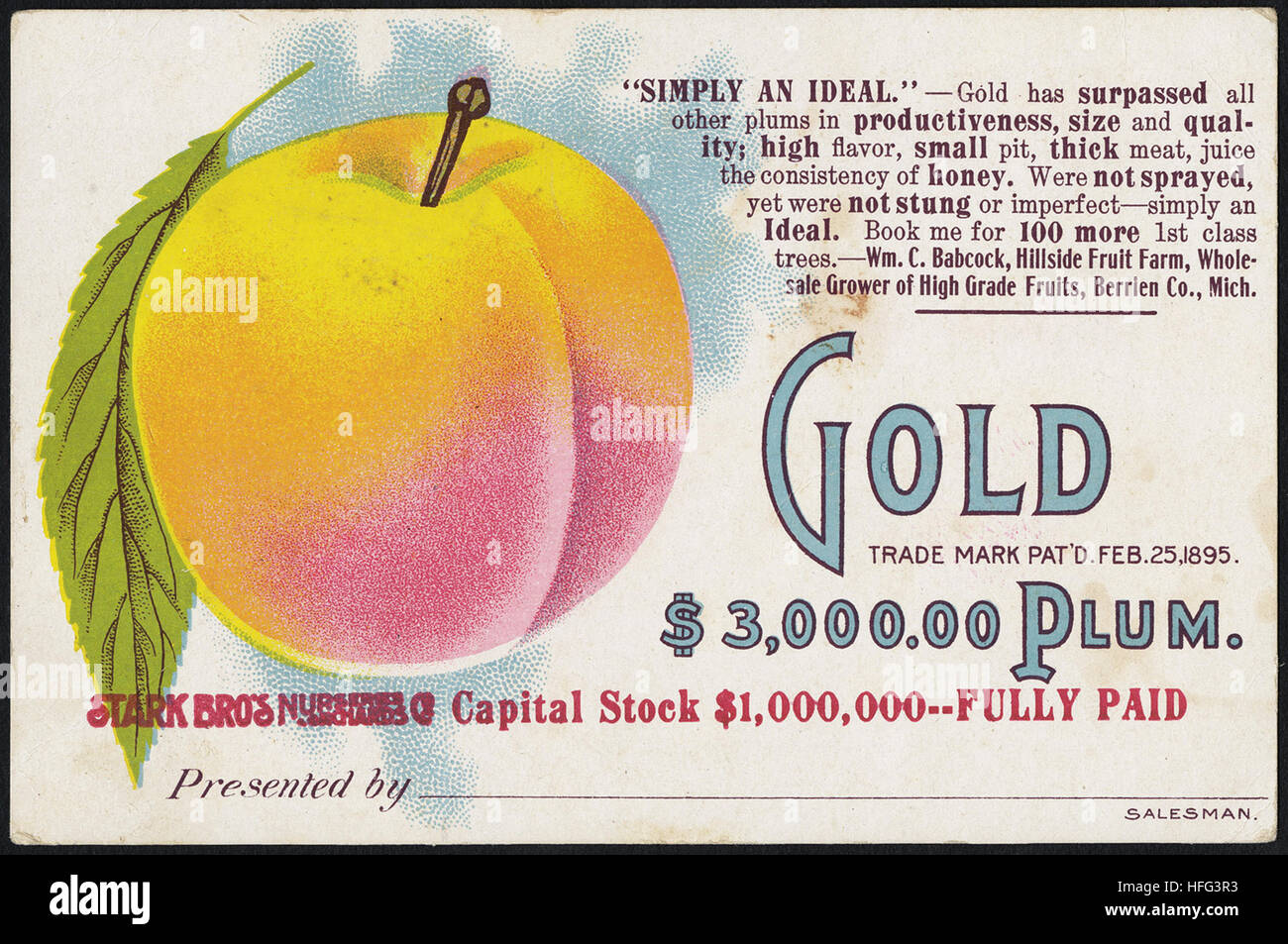 Agriculture Trade Cards - Gold $3,000.00 plum Stock Photo