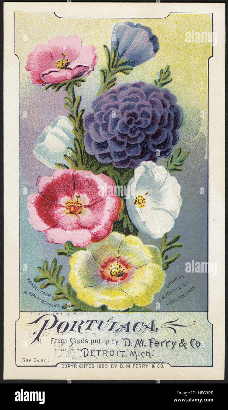 Agriculture Trade Cards - Stock Photo
