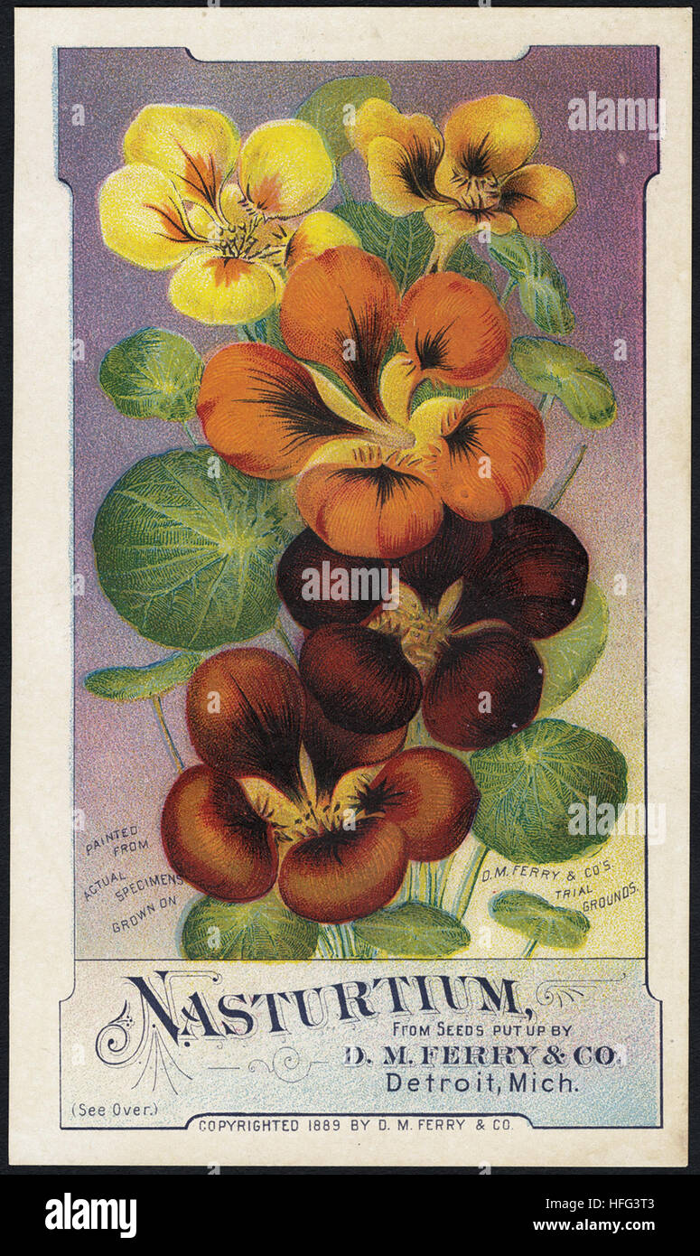 Agriculture Trade Cards - Stock Photo