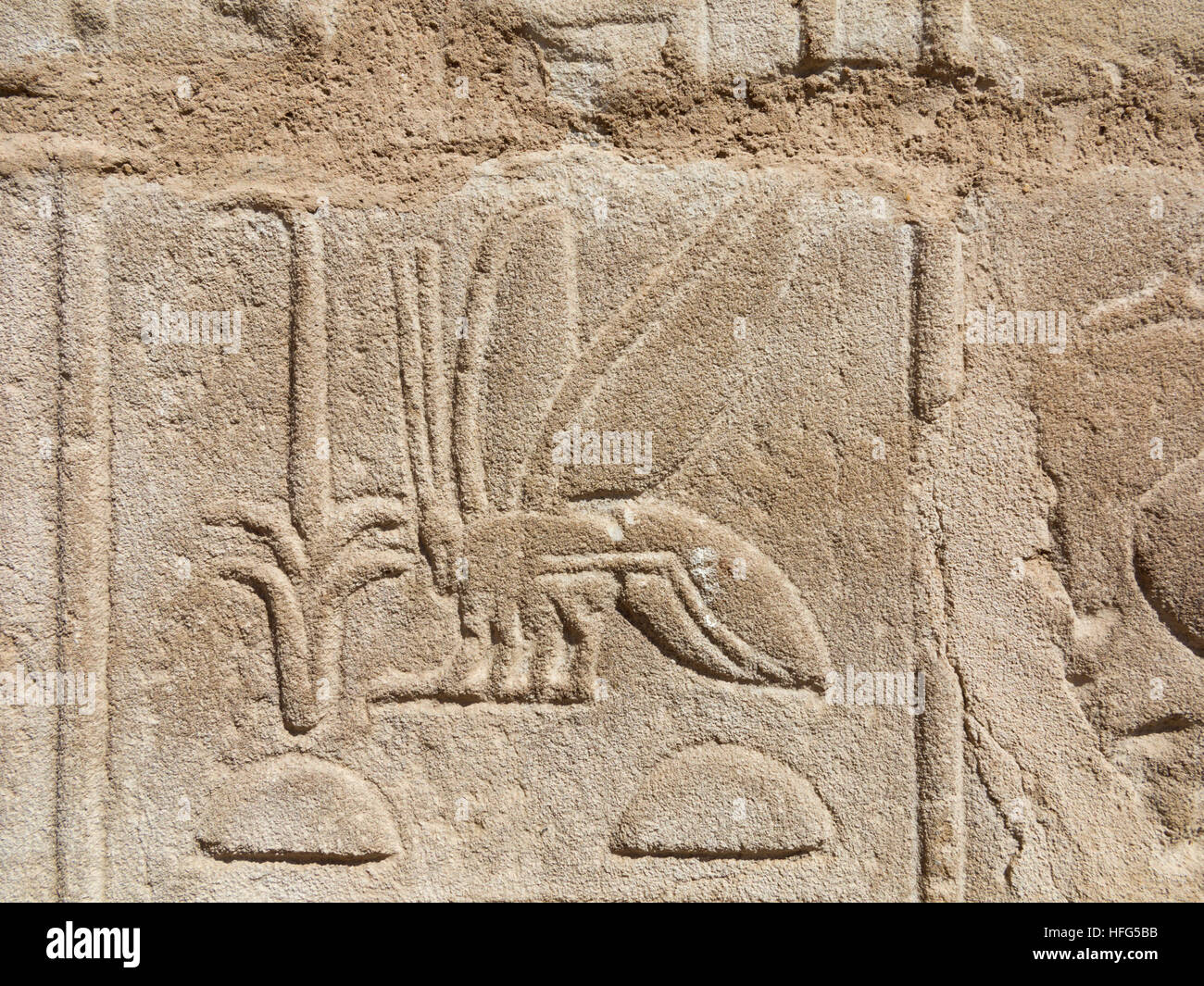 Relief showing bee in the Mortuary Temple of Seti I on West Bank of the Nile at Luxor, Egypt, North Africa Stock Photo