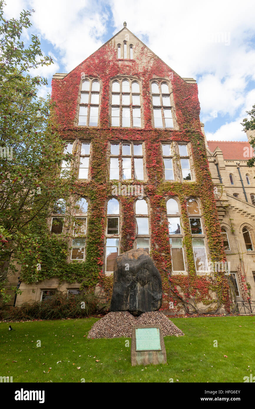Vines in autumn on Beyer Building in Old Quadrangle, The University of Manchester, UK Stock Photo