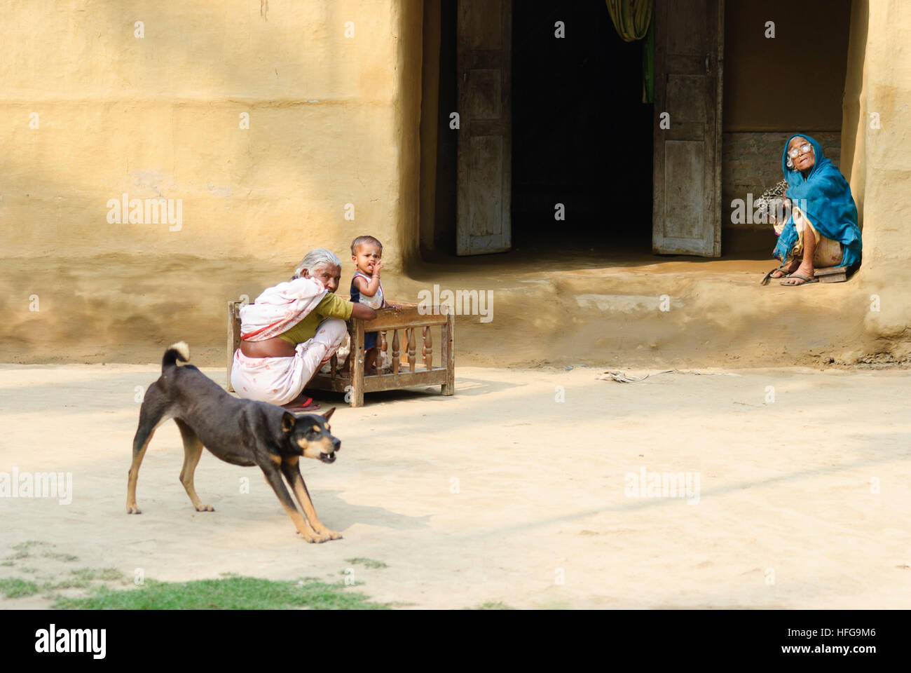 Kaziranga: Residential house, dog, Assam, India Stock Photo