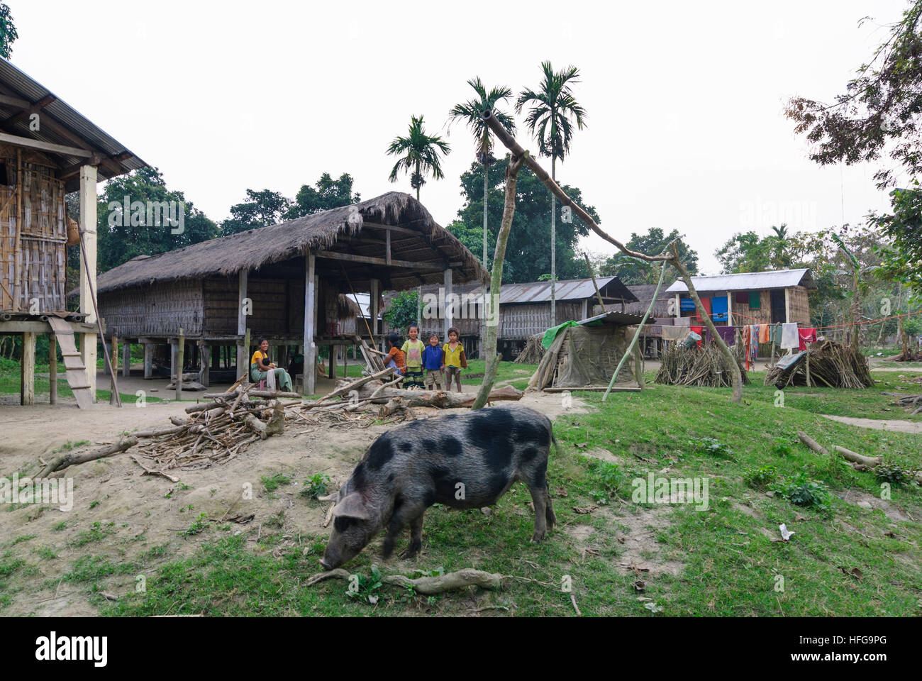 Majuli: Village - Island of Majuli, Assam, India Stock Photo