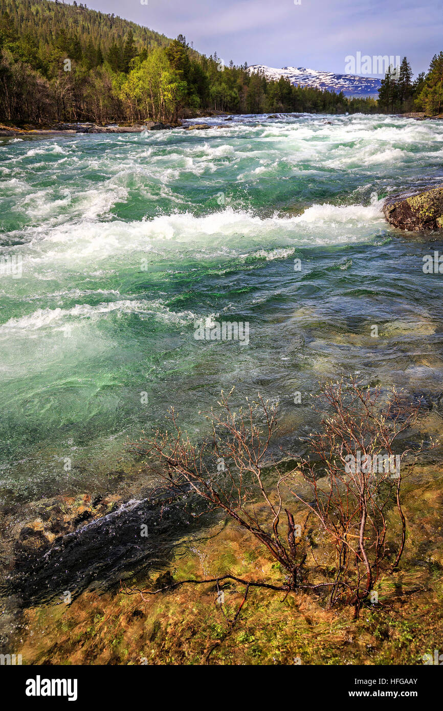 The full Otta River fed from the thawing snow and ice in Spring Stock Photo  - Alamy