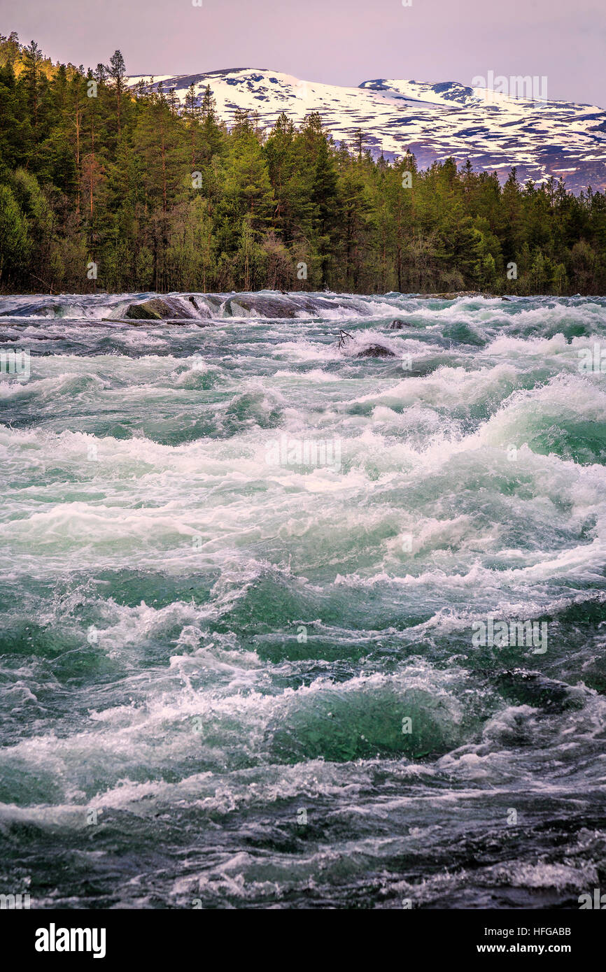 The full Otta River fed from the thawing snow and ice in Spring Stock Photo  - Alamy