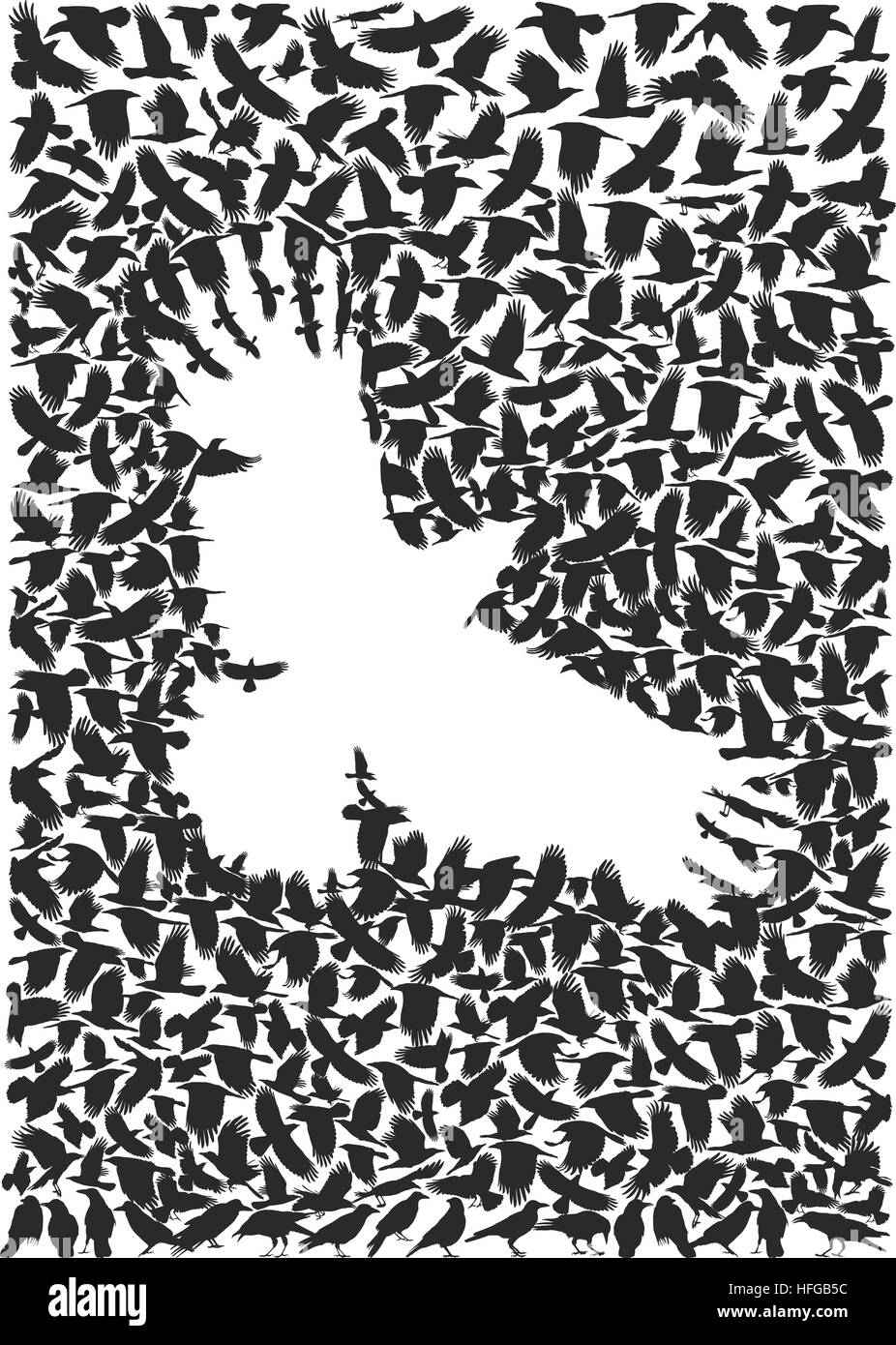 Crow from a flock of crows Stock Photo Alamy