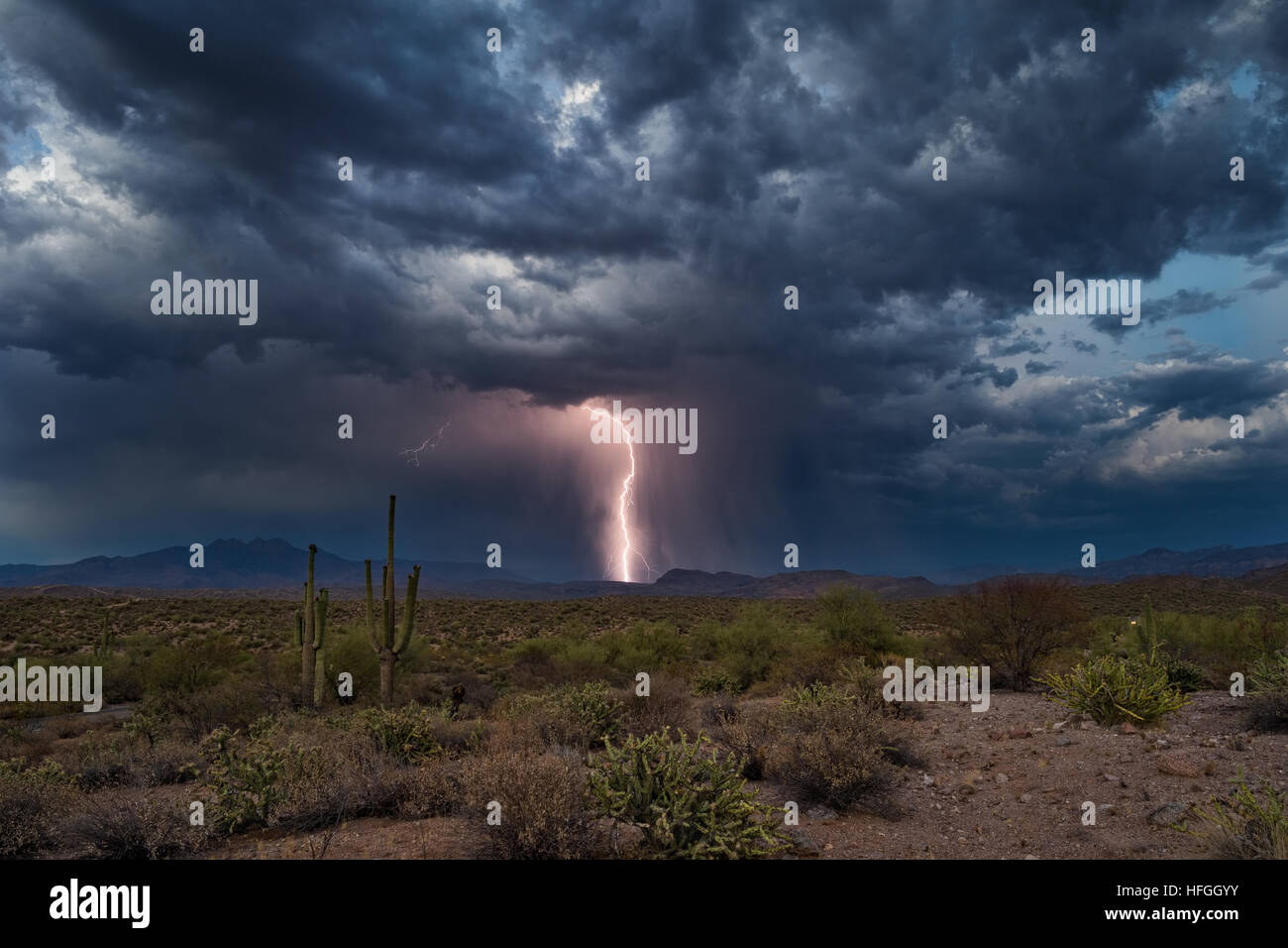 Lightning strikes in the Four Peaks wilderness during a summer thunderstorm Stock Photo