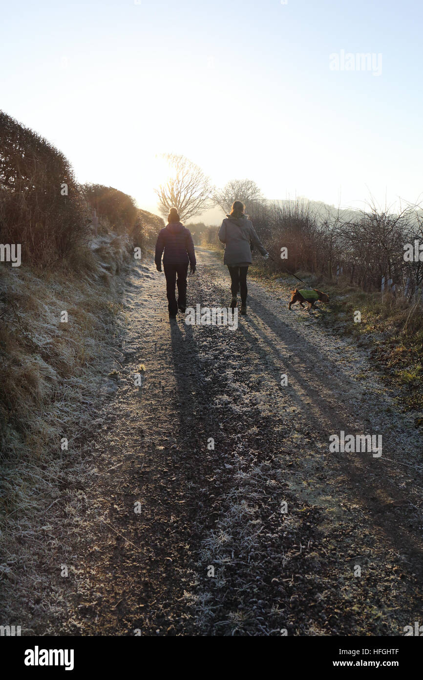 Couple walking with dog on a winters day Stock Photo - Alamy