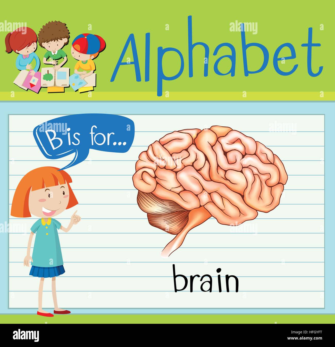 Flashcard Letter B Is For Brain Illustration Stock Vector Image & Art ...