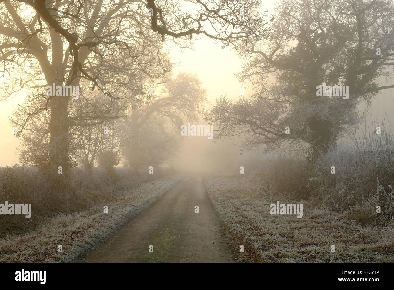 Foggy country hi-res stock photography and images - Alamy