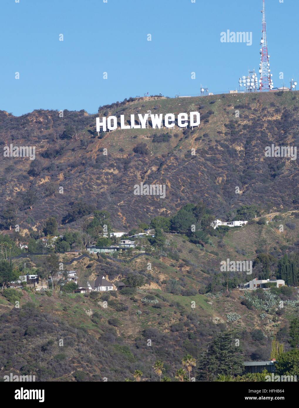 Hollywood, California, USA. 01st Jan, 2017. New Years pranksters, perhaps inspired by the passing of legalized marijuana laws in California, used cleverly placed material on the iconic Hollywood sign to make it read 'Hollyweed' © Edward Nachtrieb/Alamy Live News Stock Photo