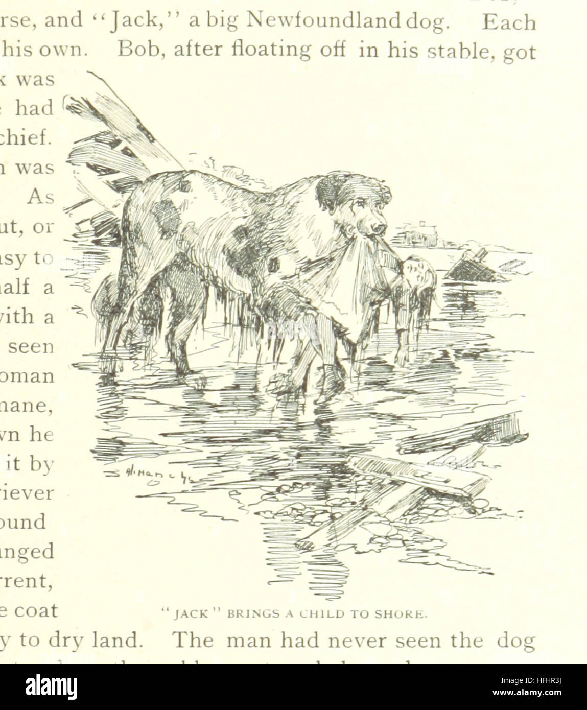 The Story of Johnstown ... Illustrated, etc Image taken from page 179 of 'The Story of Johnstown Stock Photo