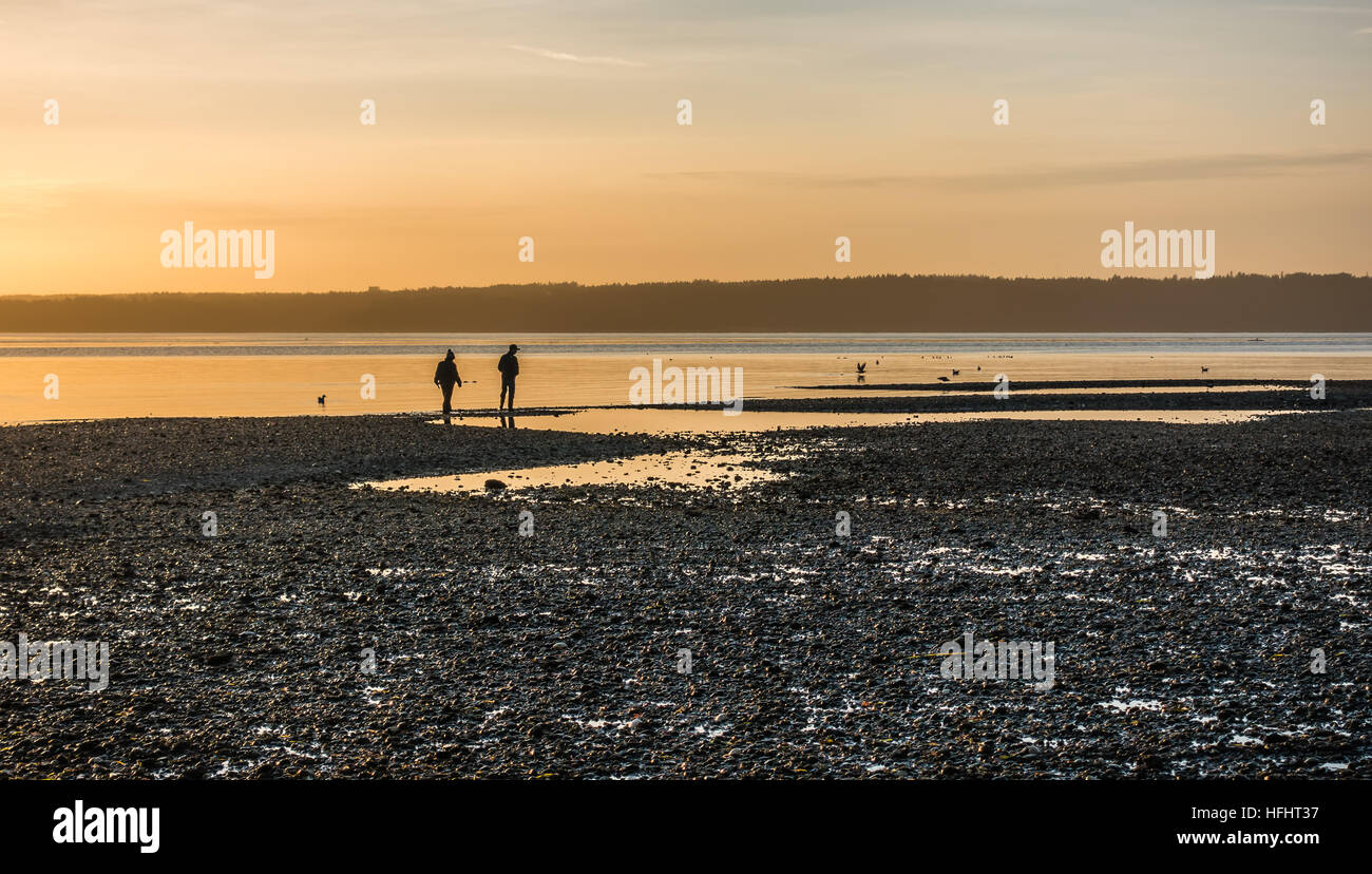 Everything Must Come To Light High Resolution Stock Photography And Images Alamy