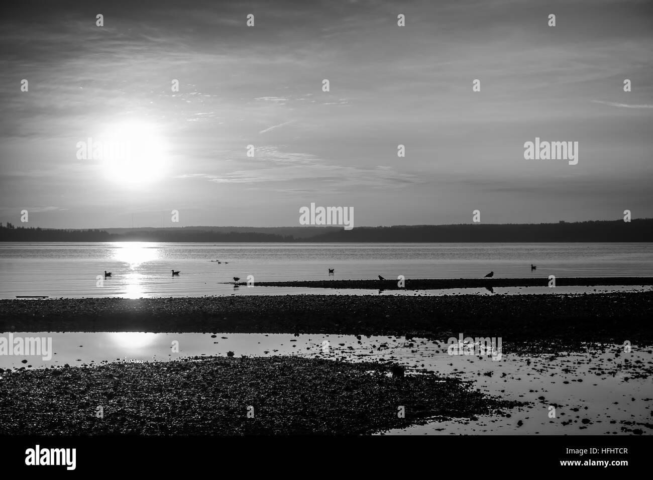Luminous light envelops everything as the sun sets over the Puget Sound. Black and white image. Stock Photo