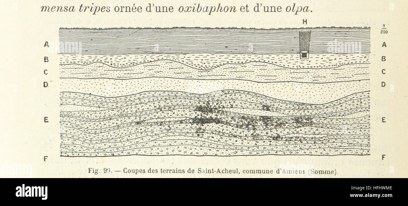 Flammarion - LA CRÉATION DE L'HOMME ET LES PREMIERS AGES DE L’HUMANITÉ
