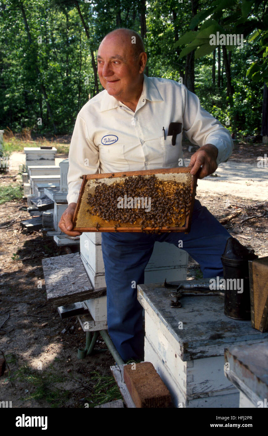 Beekeeper Brady Mullinax works at his bee hives near Winston Salem