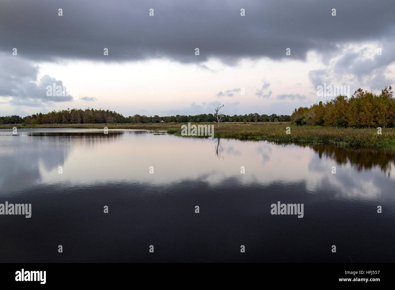 Cloud reflections at Green Cay Wetlands - Boynton Beach, Florida USA Stock Photo
