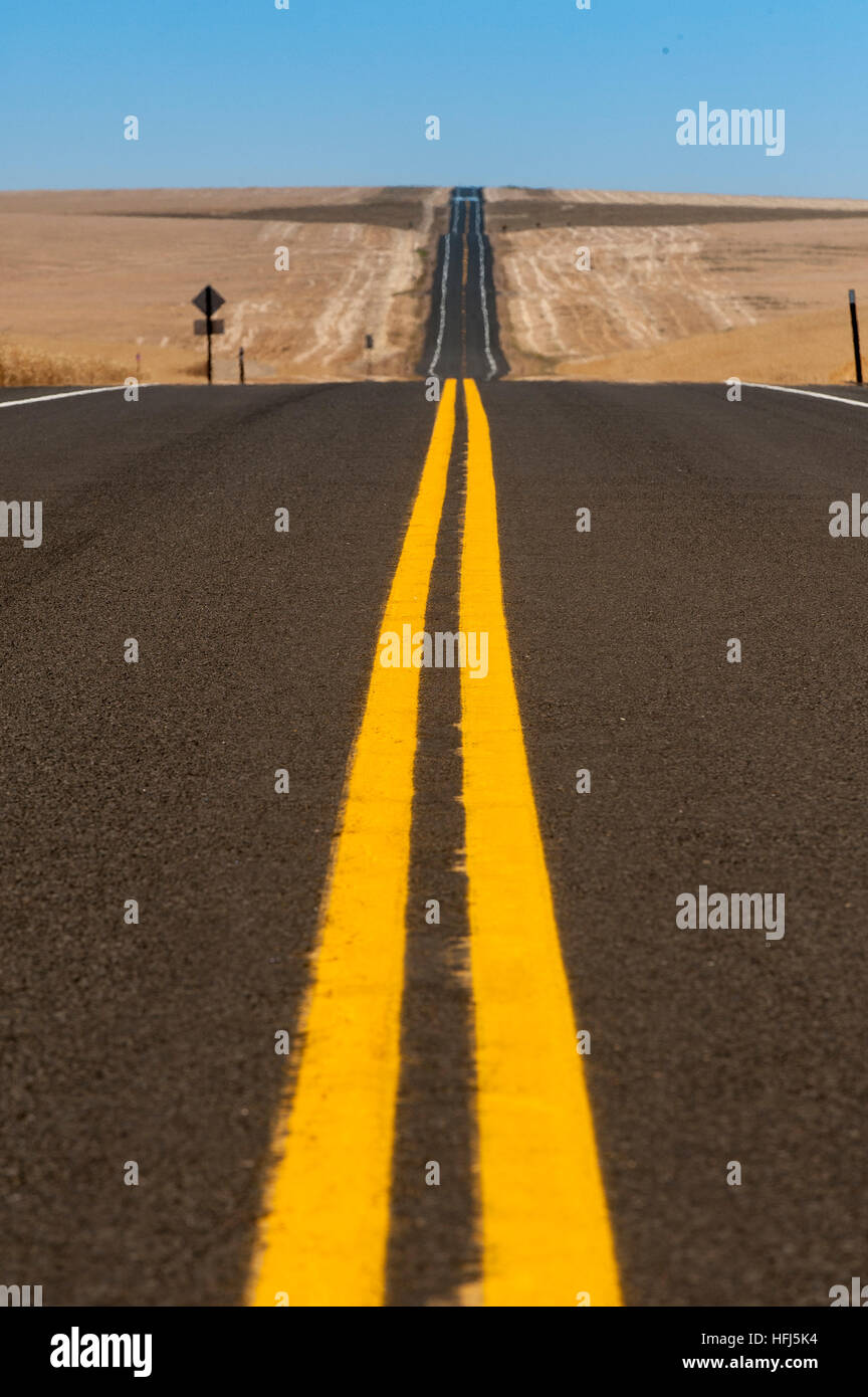 Bold yellow lines on a two lane blacktop highway running through golden