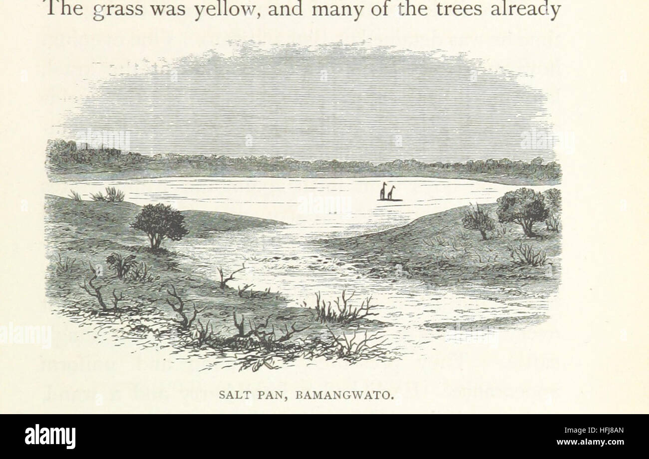 Matabele Land and the Victoria Falls. A naturalist's wanderings in the interior of South Africa. From the letters and journals of the late Frank Oates, F.R.G.S. Edited by C. G. Oates. (Memoir.) Image taken from page 215 of 'Matabele Land and the Stock Photo