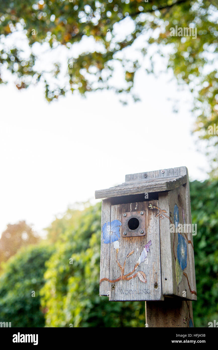 Blue bird nesting box Stock Photo Alamy