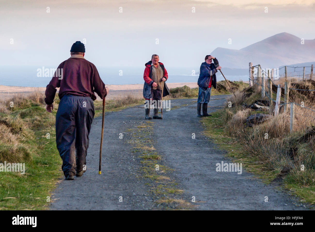 Irish farmers on country lane waiting for their hunting dogs, Valentia