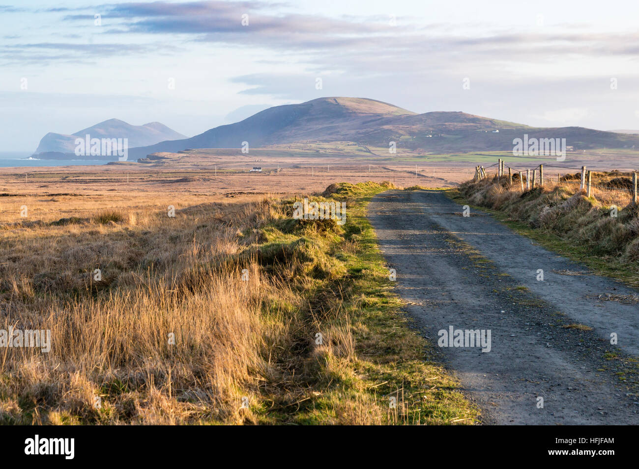 Valentia Island, County Kerry, Ireland Stock Photo