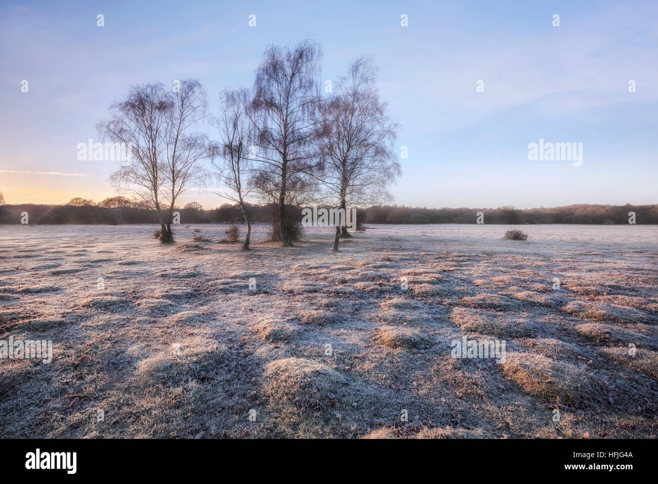 Brockenhurst new forest hi-res stock photography and images - Alamy