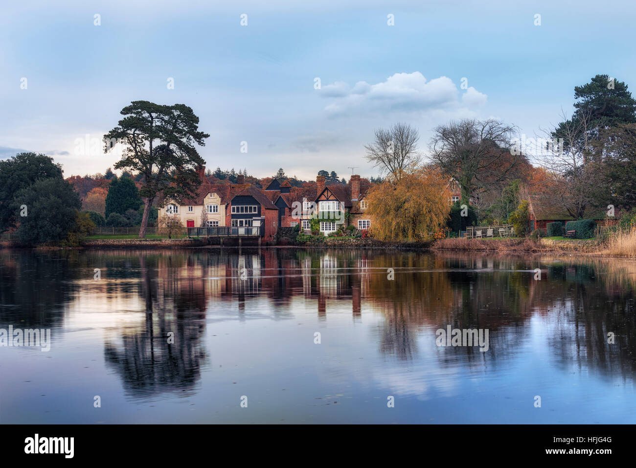 New Forest Landscape Uk High Resolution Stock Photography and Images ...