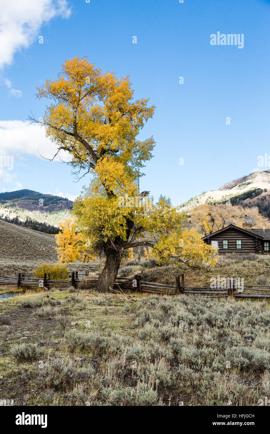 Rose Creek North East entrance road Yellowstone National park Stock