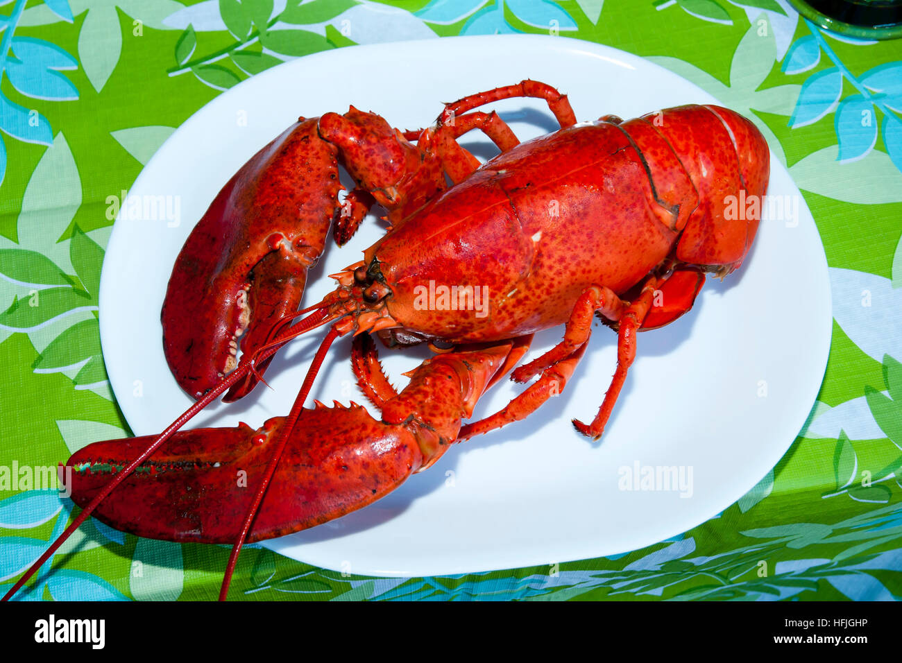 Prince Edward Island Lobster - Canada Stock Photo